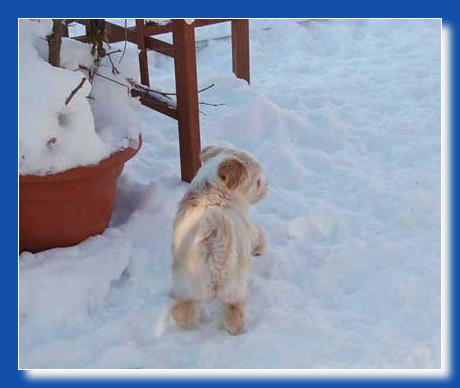 09 im-schnee